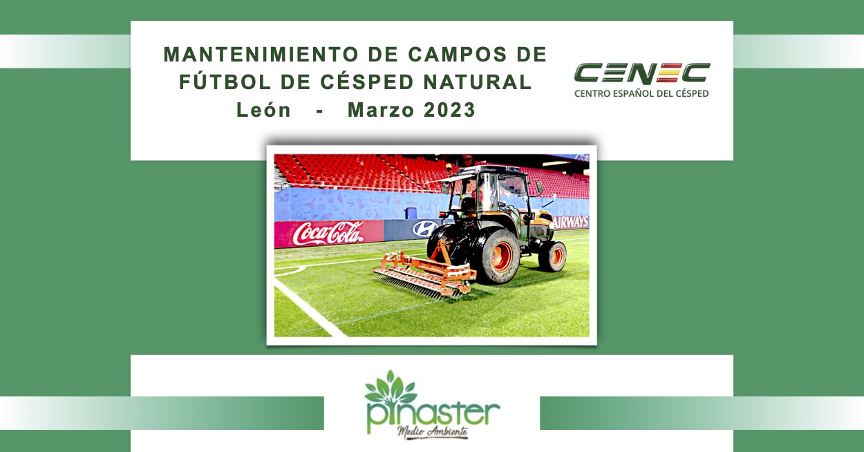 Lee más sobre el artículo Formación sobre mantenimiento de campos de fútbol a los profesionales de PINASTER Medio Ambiente