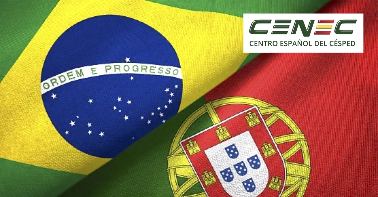 Lee más sobre el artículo La formación del CENEC ahora también en portugués
